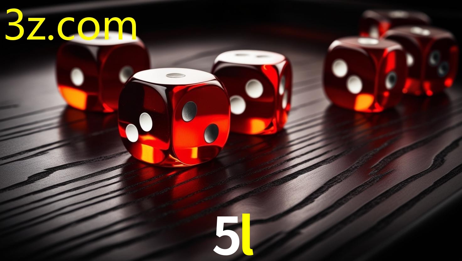 5L.COM